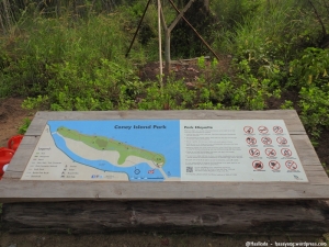coney island park